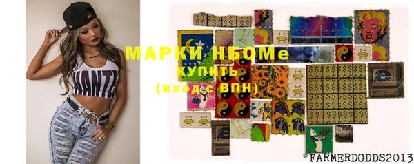 твердый Медногорск