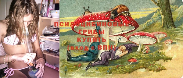 MDMA Медвежьегорск