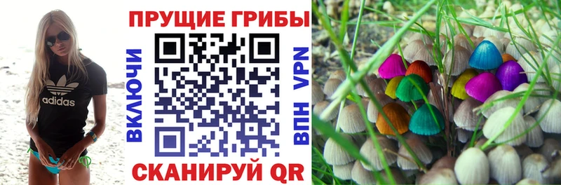 Псилоцибиновые грибы Psilocybine cubensis Щучье